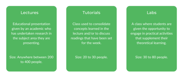 新南威尔士大学理科学士-班级结构