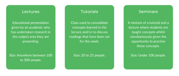 Bachelor of Economics USYD - Class Structure