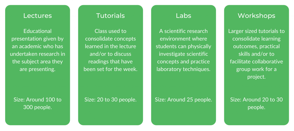 UTS学士of Science in Information Technology - Classes