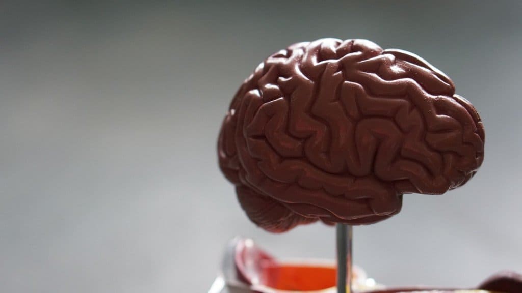 Psychology UNSW - Featured Image