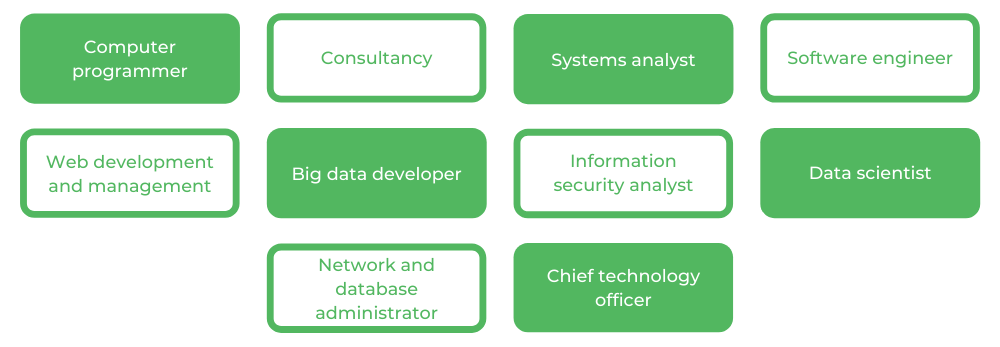 USYD高级计算机-职业