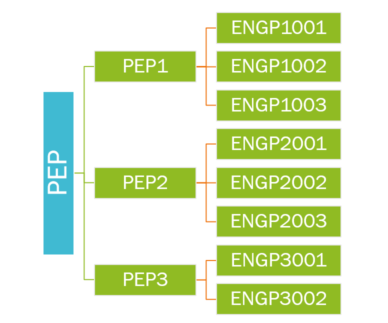 专业参与计划示意图