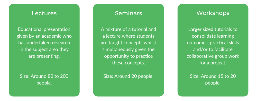 格里菲斯文学学士-班级结构