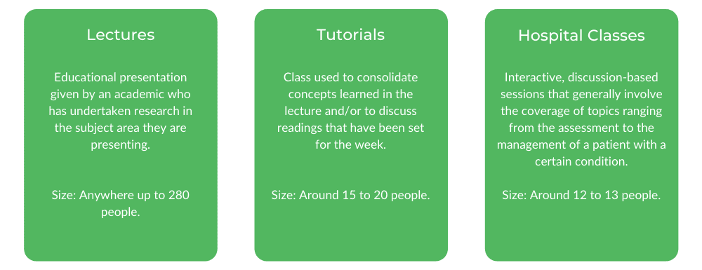 新南威尔士大学医学-等级结构