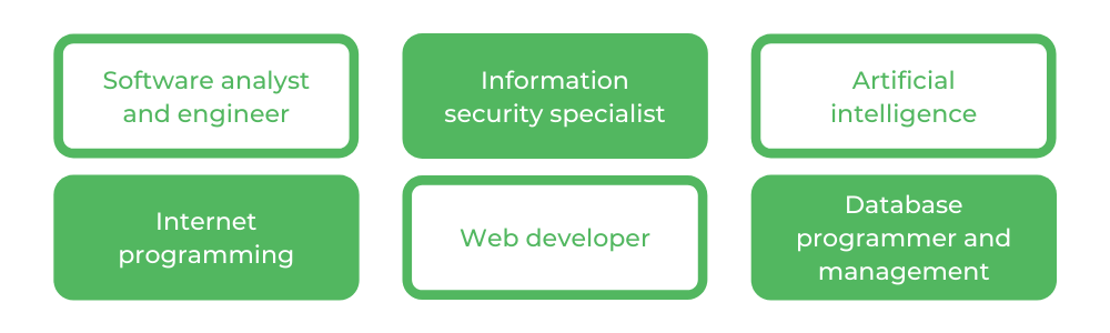 USYD软件工程 - 职业