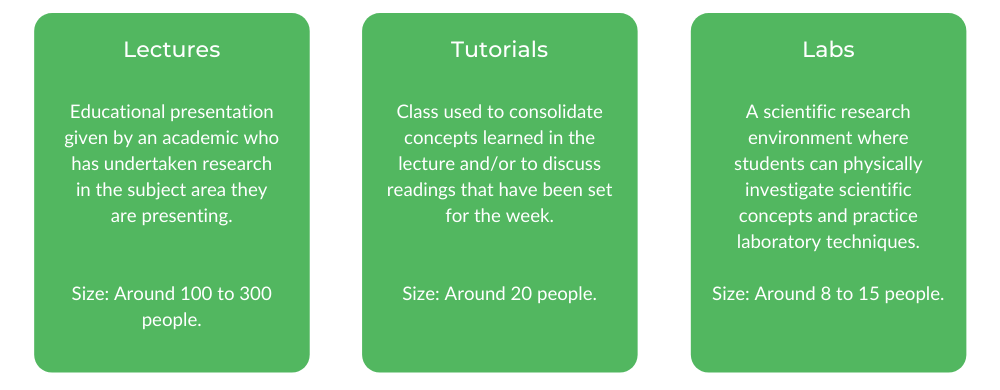 RMIT电气工程-等级结构