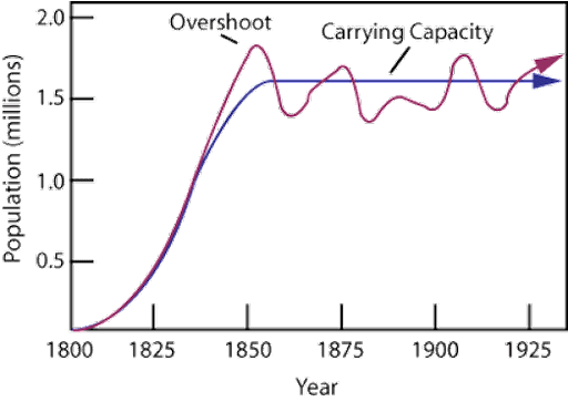 QCE Biology Terms - Carrying Capacity