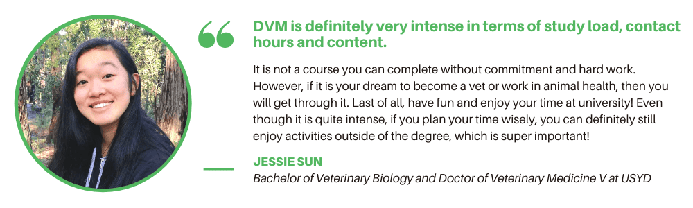 Veterinary Sydney = Student Quote