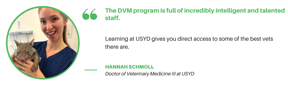 DVM USYD - 报价