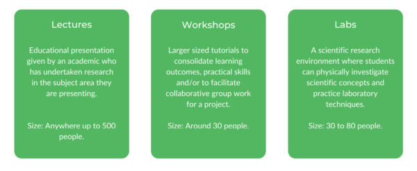 UNSW土木工程 - 阶级结构