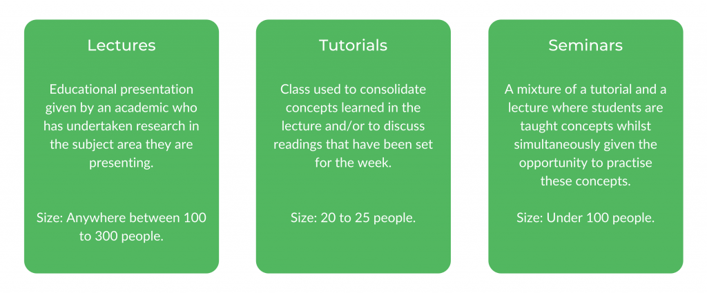 UTS经济学阶级结构