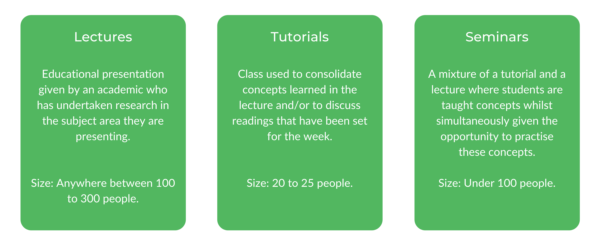 USYD法律-阶级结构