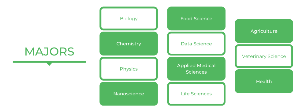 USYD理学学士-专业