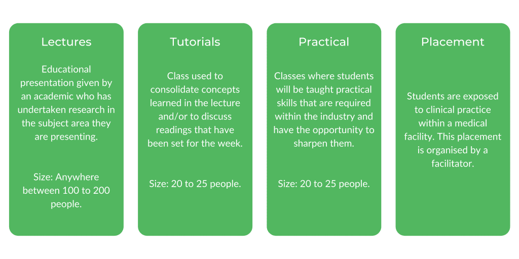 ACU护理 - 班级结构