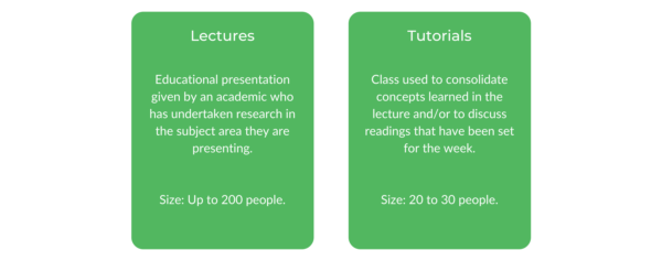 麦格理商学士-班级结构