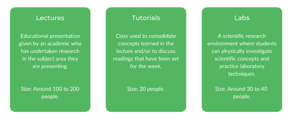 美国医科大学-班级结构