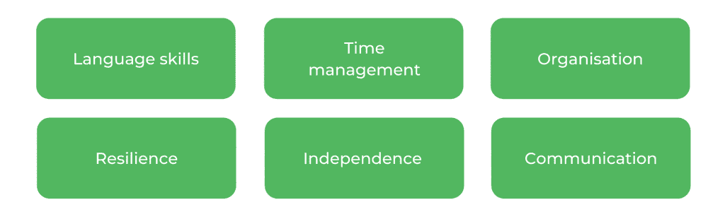 Bachelor of Arts UTS - Skills