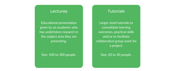 艺术学士WSU级结构