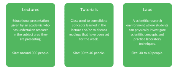 体育学士学位学士学位UTS  - 阶级结构