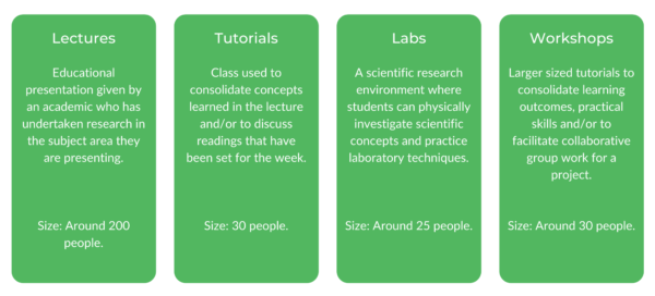 MQ级结构学士学位