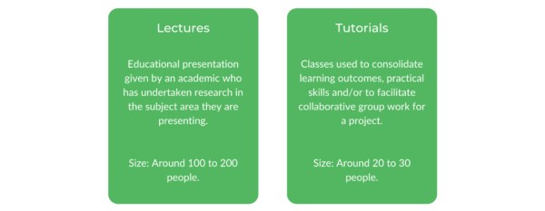工商管理学士MQ-班级结构