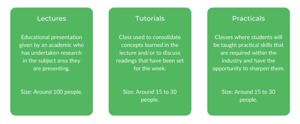 精算学学士-课程结构