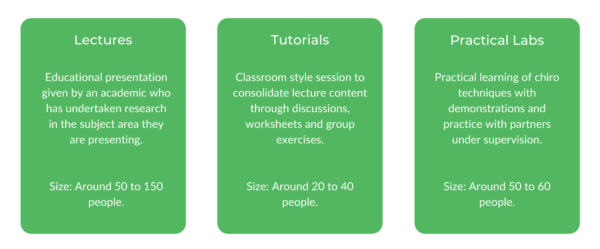 麦考瑞大学脊骨按摩课程结构
