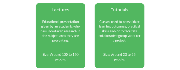 新南威尔士教育学士-班级结构