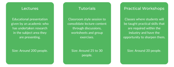 WSU护理 - 班级结构