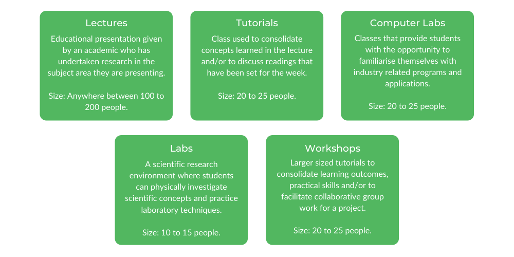 生物医学工程UTS -等级结构