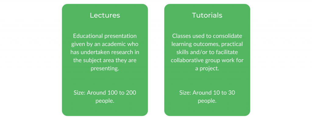 WSU教育-班级结构