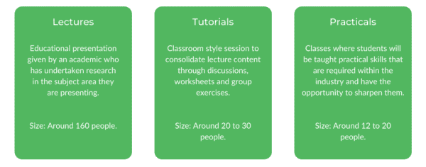 WSUParamedicine - Class Structure