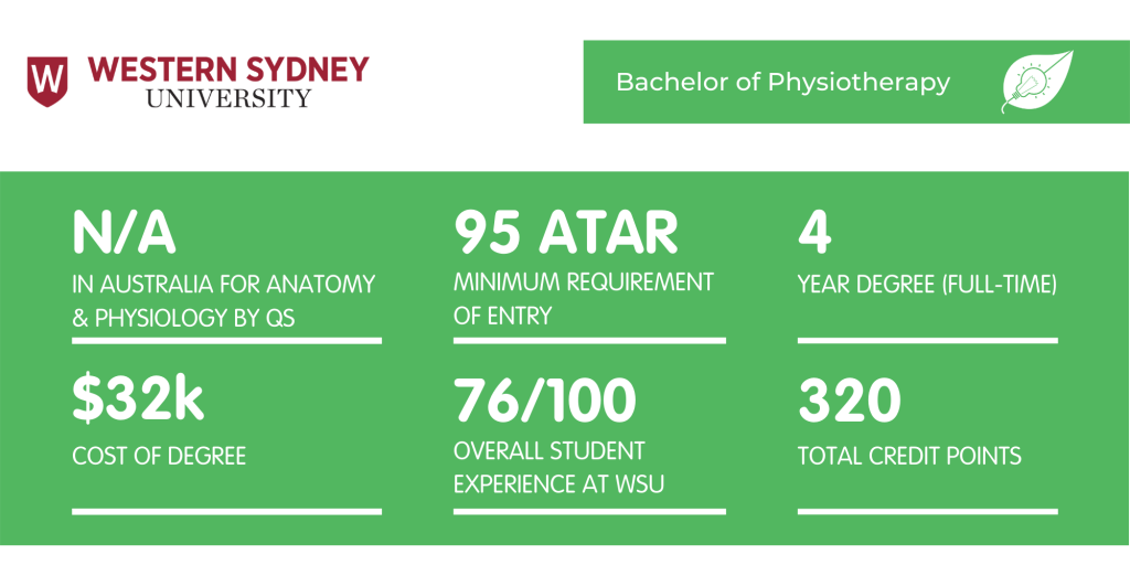 WSU物理治疗-概况介绍