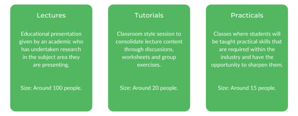 WSU物理治疗-班级结构