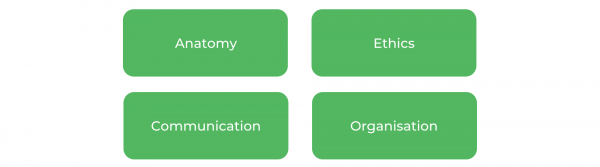 WSU物理治疗-技能