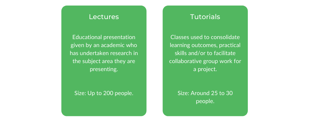 WSU健康科学学士-班级结构