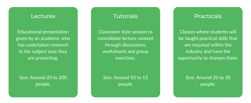 电气工程USYD-班级结构