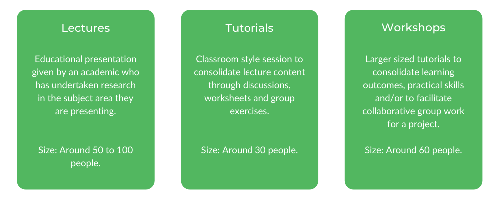 USYD项目管理-等级结构