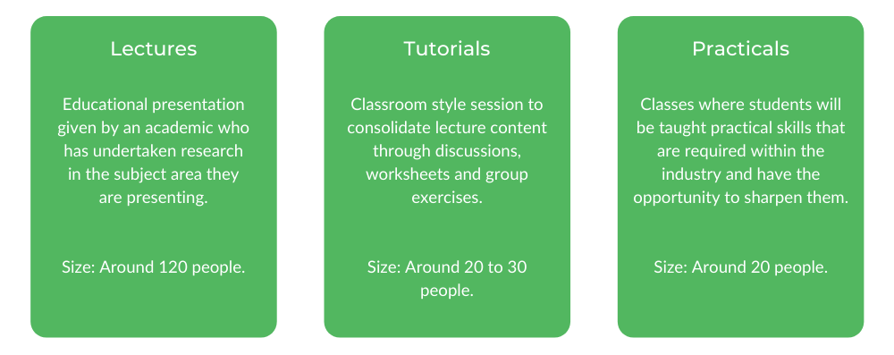 兽医悉尼 - 阶级结构