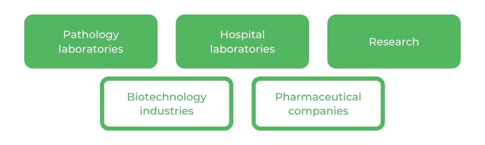 生物医学科学学士UTS -职业