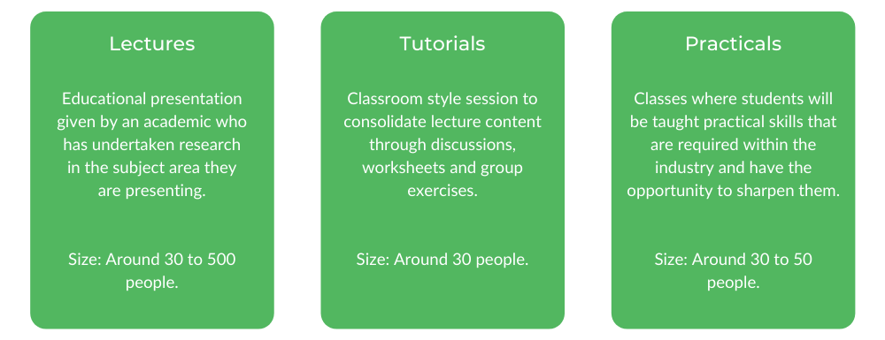 昆士兰大学理学学士-班级结构