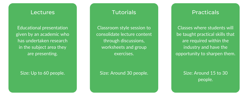 口腔健康墨尔本大学-班级结构