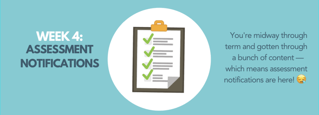 第4周:评估通知