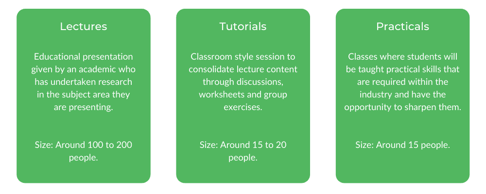 RMIT Software Engineering - Class Structure
