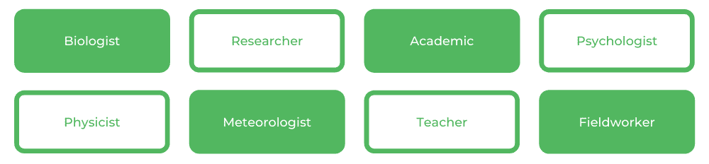 科学学士南安 - 职业生涯