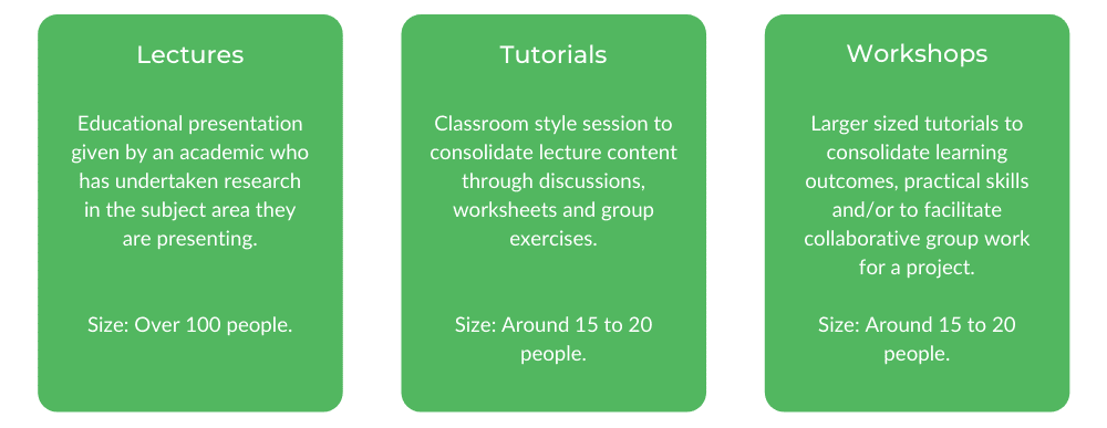 商业蒙纳士班结构学士学位