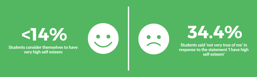 学生压力的原因-自尊统计