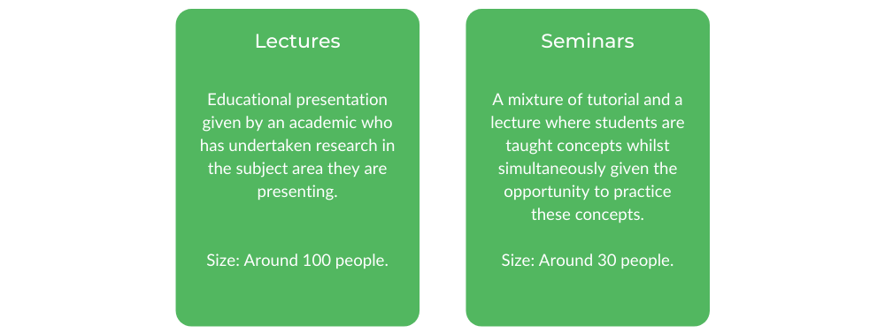 墨尔本文学士-班级结构