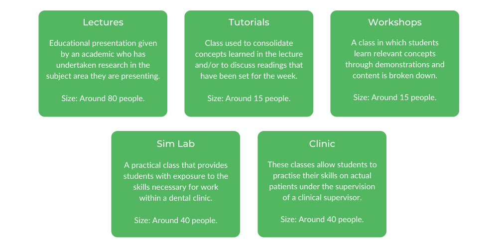 Griffith Dentistry - Class Structure