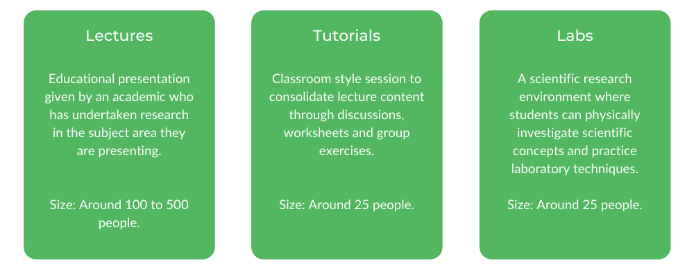 格里菲斯心理学-阶级结构